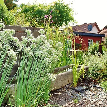 شقة Oberstaader Maisonette *